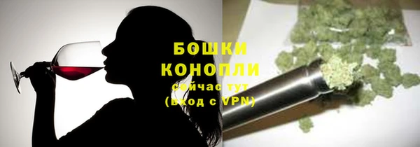мдпв Михайлов